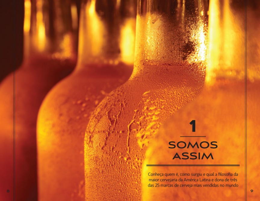 Guia de franquias Ambev - abre de capítulo Guia de franquias Ambev - abre de capítulo